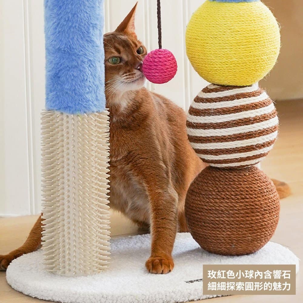 【zeze 哲哲】卜卜球多功能抓柱:圖片 3