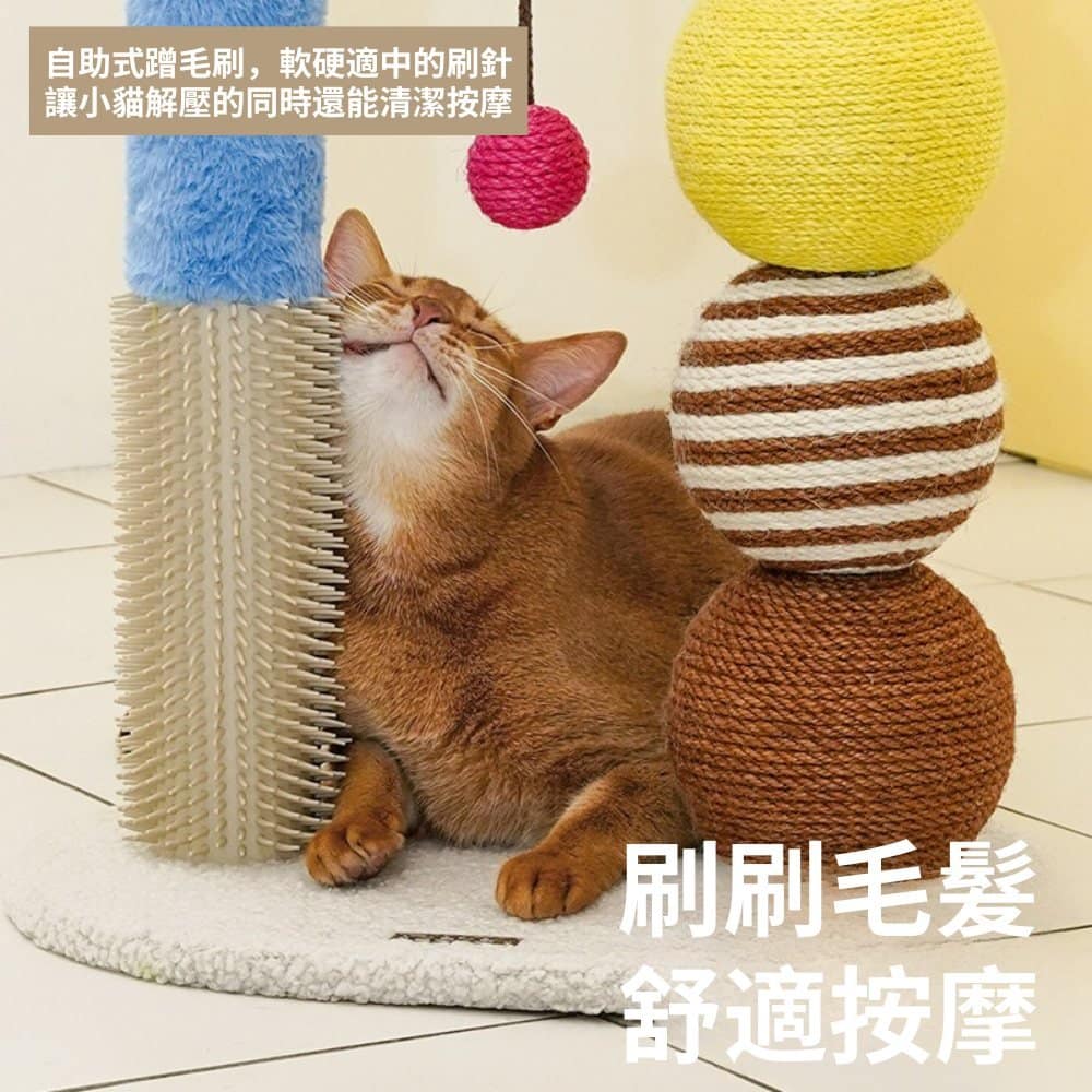 【zeze 哲哲】卜卜球多功能抓柱:圖片 5